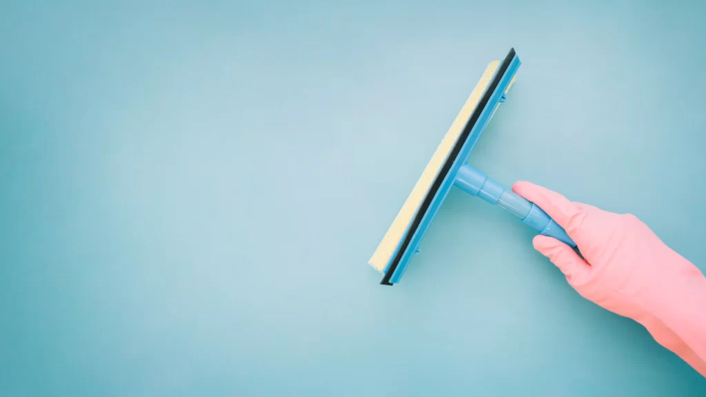 Squeegee for window cleaning