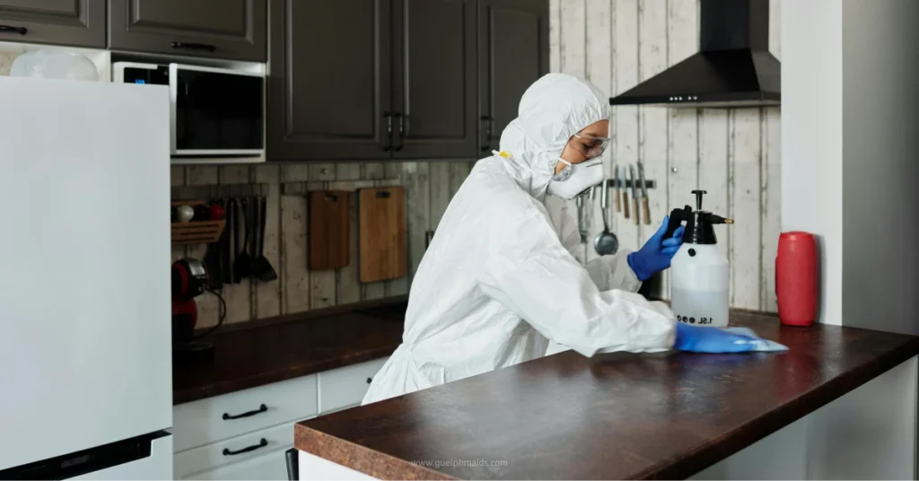 Specialized cleaner in a hazmat suit removing pests from a kitchen - Guelph Maids